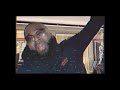 Tapped In With IAMSU!: NYC trip for Boss Up V release & Iamsu’s 30th Birthday