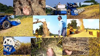 हार्वेस्टर (Harvester) से धान कटवाना फायदा या नुकसान...? पूरी जानकारी.....।