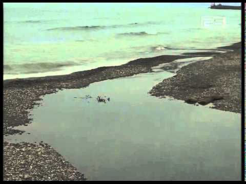 გარემოს დაცვის მონაცემებით ზღვის წყლის ხარისხი გაუმჯობესებულია