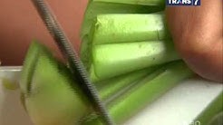 LAPTOP SI UNYIL - Stick dari sayur - Durasi: 5.22. LAPTOP SI UNYIL - Stick dari sayur - Durasi: 5.22.