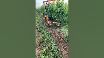 Mulching Brush For Under Vine Weeds || Made By Provitis France || #shorts