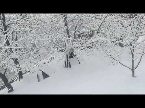 16-მარტი თოვს სოფ. ლაბსყალდში