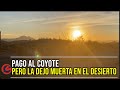 EL "COYOTE" LA  DEJO MORIR EN EL DESIERTO DE ARIZONA, EL NOVIO LA BUSCA PERO NO LE DICEN DONDE QUEDO