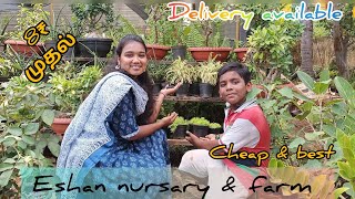 Best quality plants @chennai |Eshan nursary & farm | chennai farm #plants #nursary #couple #pets by Our Story's Different 106 views 7 months ago 10 minutes, 44 seconds