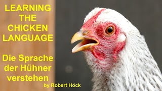 LEARNING THE CHICKEN LANGUAGE - Die Hühnersprache lernen - by Robert Höck - Happy chickens as pets