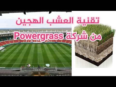 تقنية تركيب العشب الهجين في الملاعب