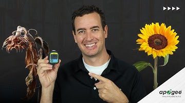 DLI Meter: Save money and grow healthier plants