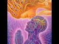 Can divine feminine heals the divine masculine consciously in twin flame journeypart 1 twinflames