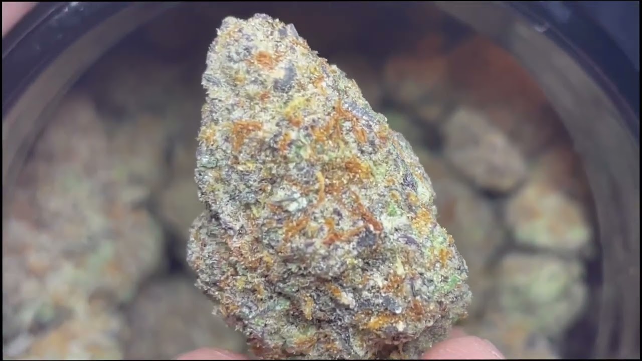 Platinum Candy Mintz