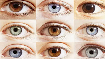 ¿Qué determina el color de los ojos?