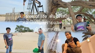 Tree of life ต้นไม้ใหญ่ 400ปีกลางทะเลทรายและบ่อน้ำมันในบาห์เรน