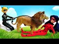 Ataque Animal no Zoológico: Miraculous Ladybug e Cat Noir ao Resgate!