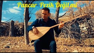 Fatih Demirhan - Pancar Pezik Değil Mi Resimi