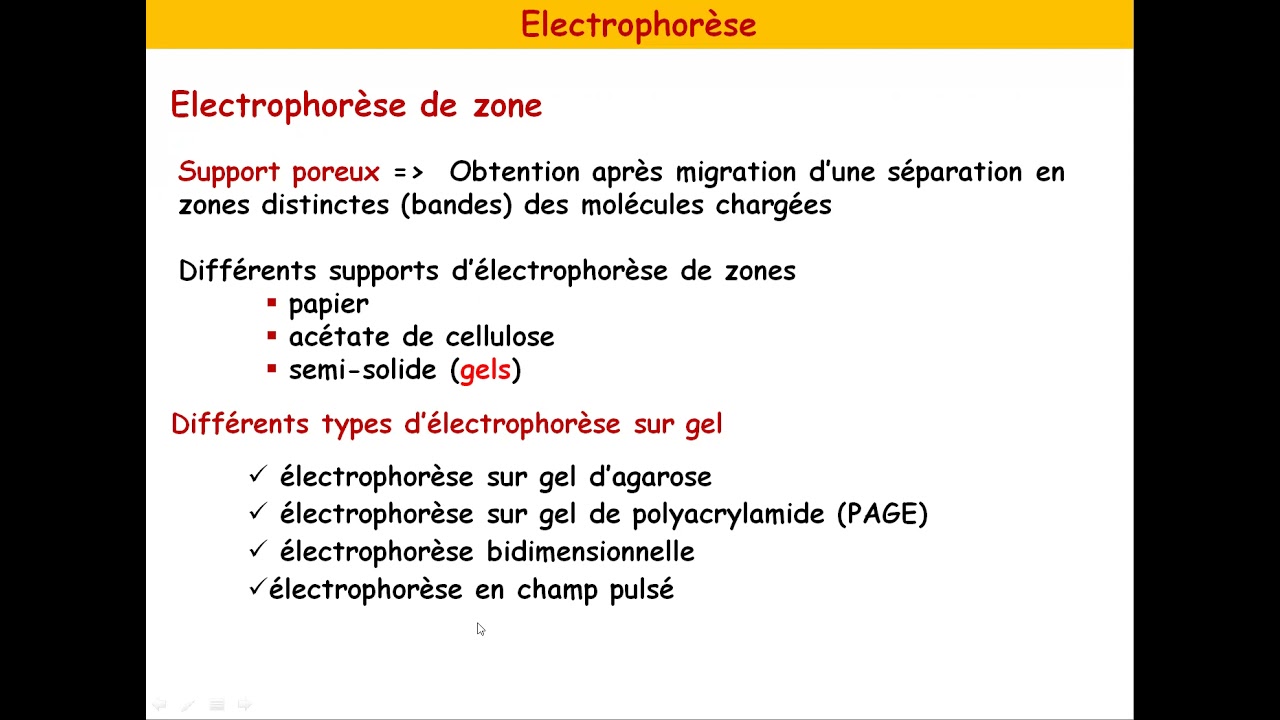 TECHNIQUES CHIMIQUES POUR LA BIOLOGIE Cours techniques électrophorétiques