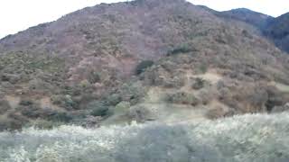 videeo de pie del cerro tlatlaya mexico