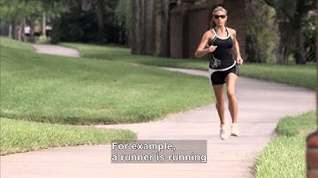 Science Video Vocab: Vectors (Accessible Preview)