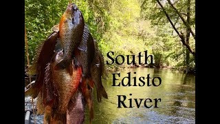 Kayak Fishing the South Edisto River