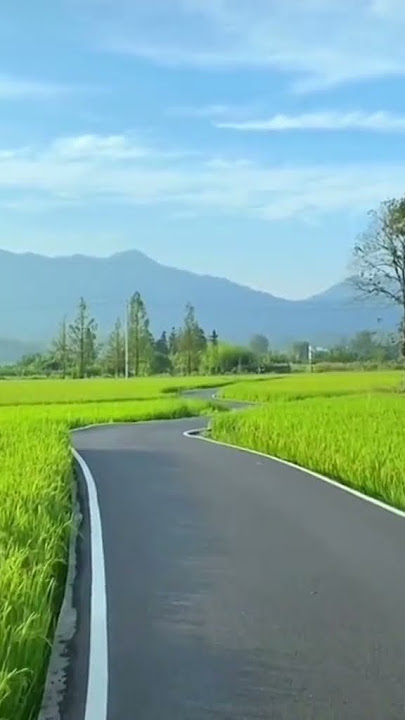 pemandangan yang enak dilihat #suasanapagihari #bikinseger #janganlupabersyukur