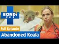 🐨 Adorable Baby Koala Is Found Malnourished | FULL EPISODE | E02 | Bondi Vet