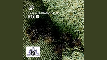 String Quartet No. 1 In B Flat Major, Op. 1 No. 1 La Chasse: III. Adagio