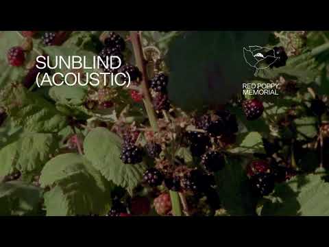 Fleet Foxes - "Sunblind" (Acoustic Version) (Lyric Video)