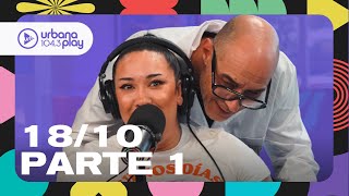 ¿Cómo te llevas con la crisis de edad? #Perros2024 Parte 1
