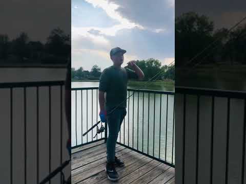 Cards bluegill fishing