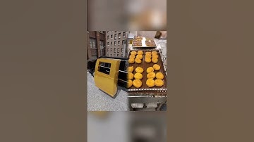 Joe Biden 5 Security Features #3d #3danimation #joebiden #usa #president