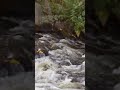 Sony Xperia 5 IV demo video: Water streaming (4K, 30fps, tele camera)