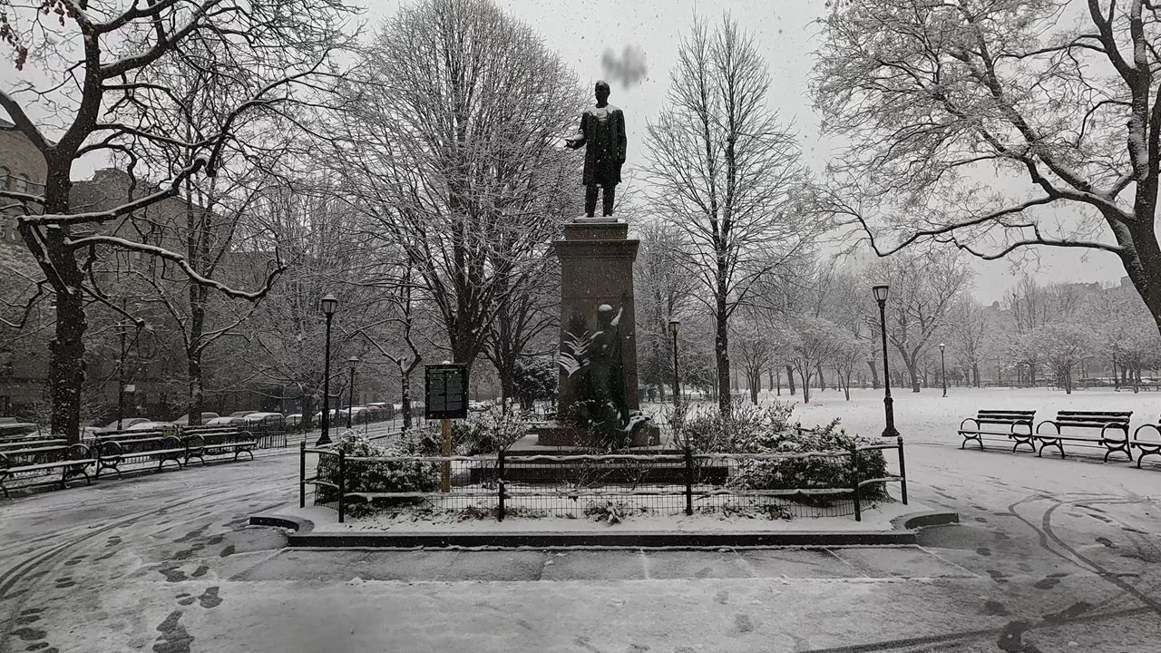 ⁴ᴷ⁶⁰ Walking NYC in snow: Grand Concourse in The Bronx from 170th Street to Franz Sigel Park