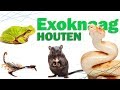 HOUTEN EXOKNAAG : Bourse aux nacs ! (Sept. 2018)