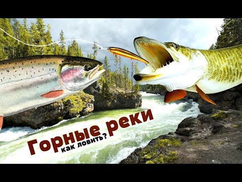 Как-ловить-рыбу-на-горной-реке-спиннингом?-Какая-рыба-водится-в-горных-реках?