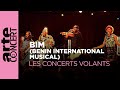 BIM Benin International Musical Les Concerts Volants ARTE Concert BIM Benin International Musical Les Concerts Volants ARTE Concert