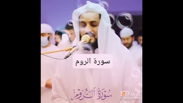 القارئ الشيخ رعد محمد الكردي حفظه الله 💜💜🌹🌹