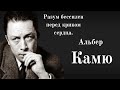 Высказывания Альбера Камю о жизни, смерти и любви. Цитаты и афоризмы.