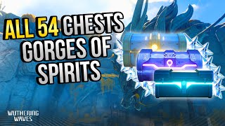 ALL Chest Locations In Gorges of Spirits | In Depth Follow-Along |【Wuthering Waves】