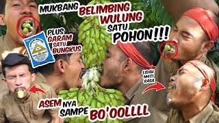 Mukbang Belimbing Wulung SATU POHON   GARAM SATU BUNGKUS..!!! ASEMNYA SAMPE BO'OOLL, LIDAH M4T1 RASA