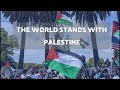 Global Solidarity with Palestine Amid Israeli Attacks