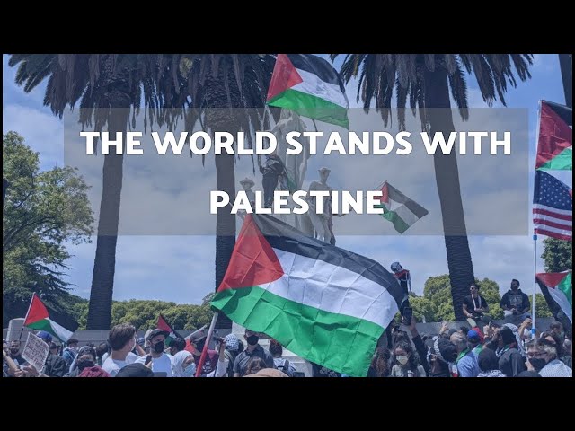 Global Solidarity and Support for Palestinian Struggle — Eightify