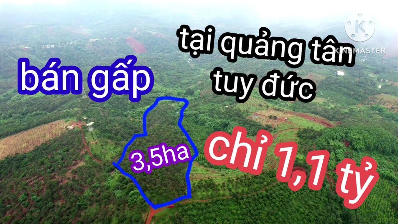 Quá rẻ, 3,5ha đất tại quảng tân tuy đức đak nông, chỉ 1,1 tỷ nguyên lô. Lh 0987326906