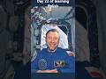 Talking Polish in space with most famous astronaut Sławosz Uznański-Wiśniewski