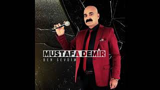 Mustafa Demi̇r Le Berfi̇ne