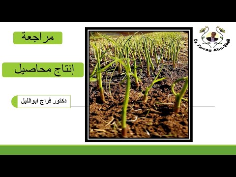 فيديو: ما هي فئة إنتاج المحاصيل 8؟