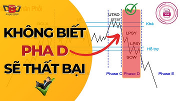 Nhận Diện Pha D Trong Mẫu Hình Phân Phối VSA | Quang Dũng DBD