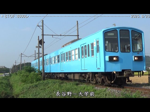 近江鉄道日記 103F糠塚＆810F蛇溝 （2025.8/25） 巛巛 - YouTube