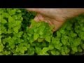 Garden Planning & Maintenance : Garden Plans for Slopes Garden Planning & Maintenance : Garden Plans for Slopes