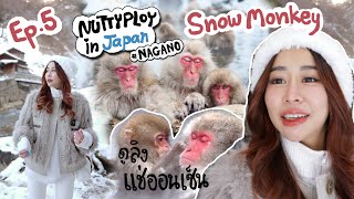 Nuttyploy In JAPAN Ep.5 l  ลิงแช่ออนเซ็น Snow Monkey  (Nagano)