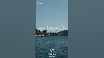Surah Al-An‘ām (51) | Muhammad Siddiq Al Minshawi |  سورة الأنعام  | القارئ محمد صديق المنشاوى