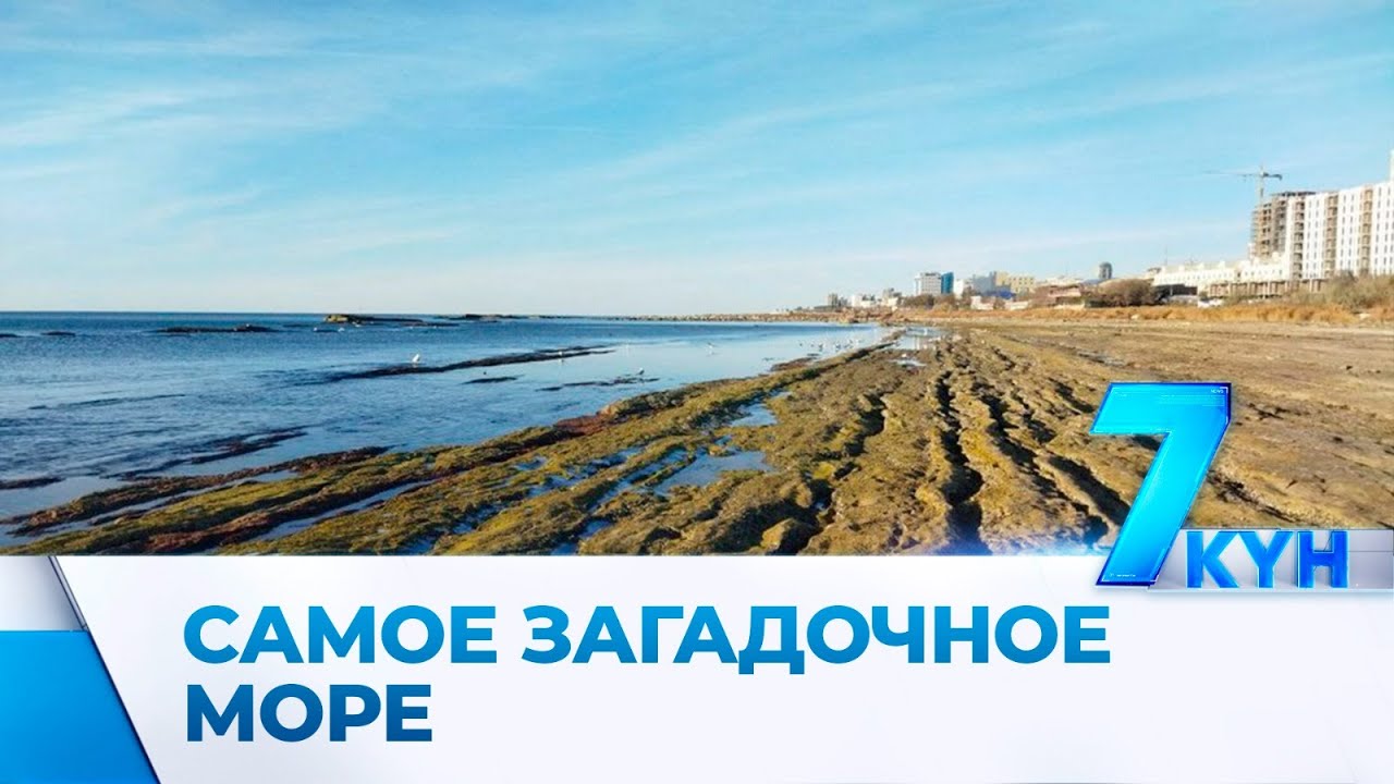 Крик Каспийского моря