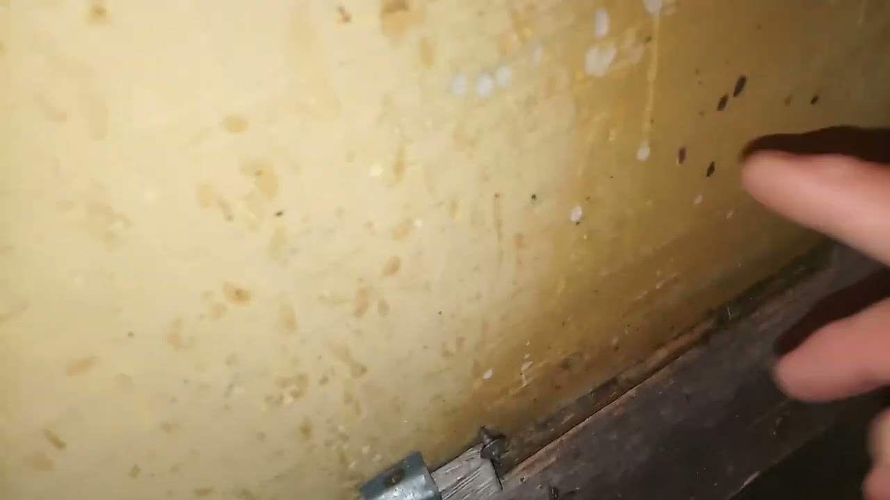 Каждый решает сам .